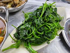 清炒苕尖-小民大排档(光谷店)