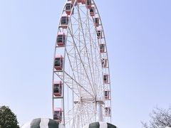 -顾村公园