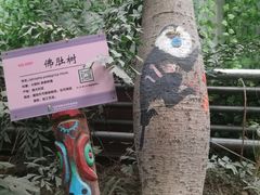 -呀路古热带植物园