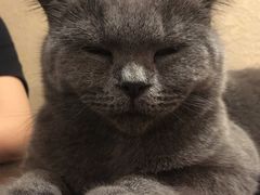-猫友咖啡店(玉林西路店)