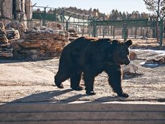 -鄂尔多斯野生动物园