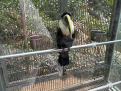 -南宫五洲植物乐园