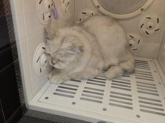 -FAELING PETS美天灵宠物(富力广场店)