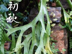 -国家植物园南园