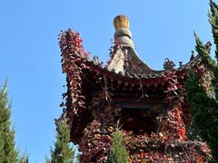 -华清宫景区