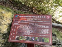 -黄山翡翠谷景区
