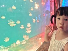 -西安华夏文旅水世界