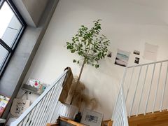 -隹木咖啡馆(宝龙广场店)