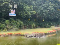 -广州长隆飞鸟乐园