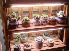 -十二舍·湯物素煮(江泰潤政店)