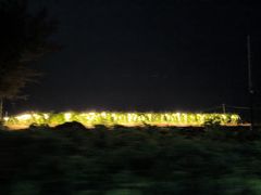 -硇洲岛旅游区