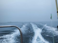 -鱼市酒店(威海水产批发市场店)