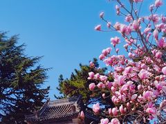 -湛山寺