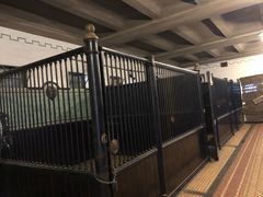 -卡萨罗马城堡