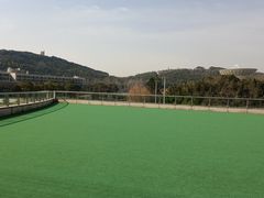 -上海佘山世茂艾美酒店