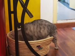 -H立方实景剧情密室(天河旗舰店)
