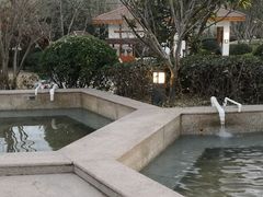 -思念果岭悦温泉