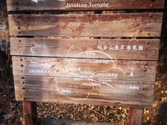 -阳台山自然风景区