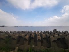 -上海滨江森林公园