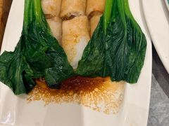-朱记乳鸽王·非遗石岐乳鸽·全鸽宴(大兴旗舰店)