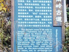 -水峪民俗村