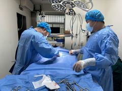 -康爱犬猫诊所·牙专科·骨外科·影像内科(丰宁店)