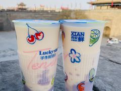 -西安城墙·碑林历史文化景区