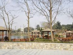 android_upload_pic-成飞公园