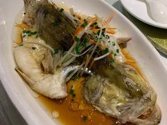 -阿英煲(凉城路店)