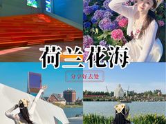 -荷兰花海