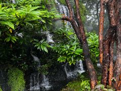 -Chom Cafe and Restaurant