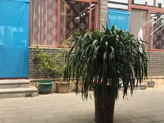 -梨木台悦来客农家院