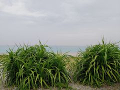 -七星潭蓝天广场