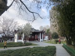 -堤角公园