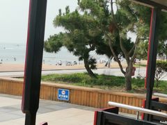 -日照海滨国家森林公园