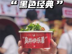 -黑色经典臭豆腐·湖南特产(坡子街店)