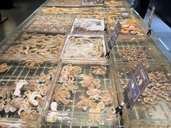 -浩运海鲜·16年专注青岛菜(石老人店)