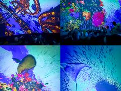 -南戴河国际娱乐中心