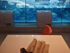 -帝企鹅自助餐厅•儿童岛•真企鹅(长隆企鹅酒店)