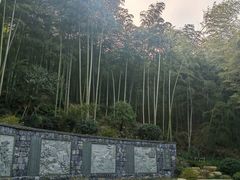 -东明山森林公园