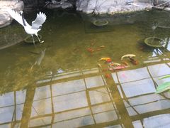 -万源龙顺度假庄园生态观光园