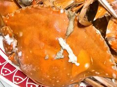 -北塘海鲜·天津菜(大光明桥旗舰店)