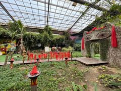 -呀路古热带植物园