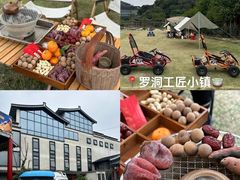 -广州市流溪河国家森林公园