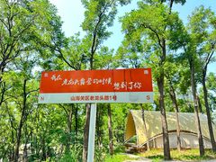 -老龙头景区