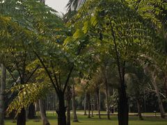 -中国科学院西双版纳热带植物园