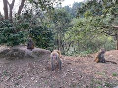 -重庆雨台山风景区