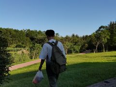 -桤木河湿地公园