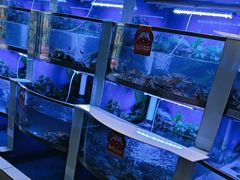 -七欣天香辣蟹火锅(上海奉贤杭州湾生活广场店)