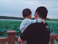 -丁香湖公园
